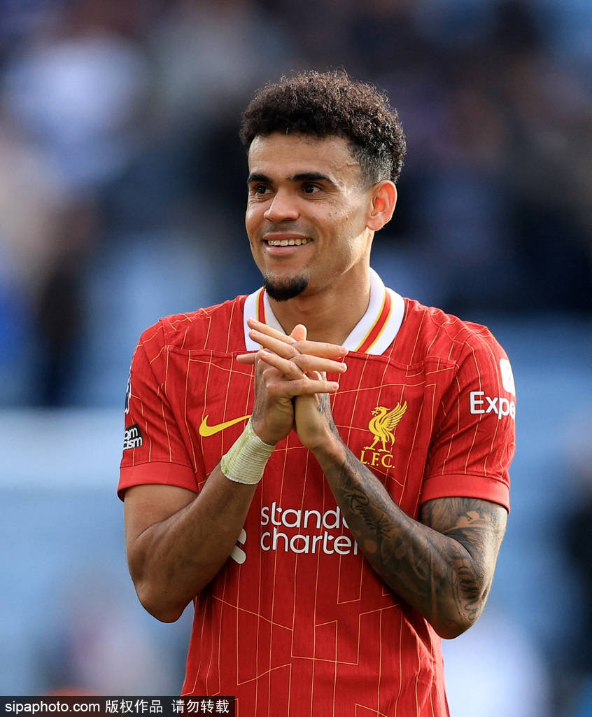 手的个人形 手的个人形